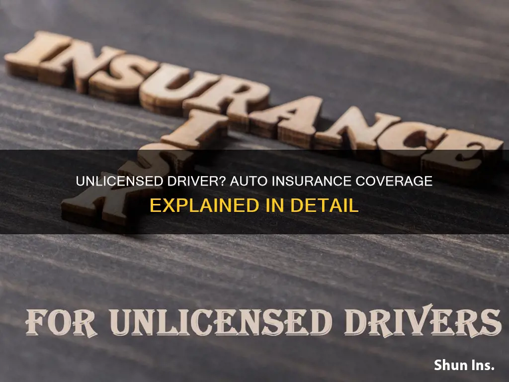 will auto insurance cover unlicensed driver