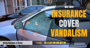 Auto Vandalism: Are You Covered by Insurance?