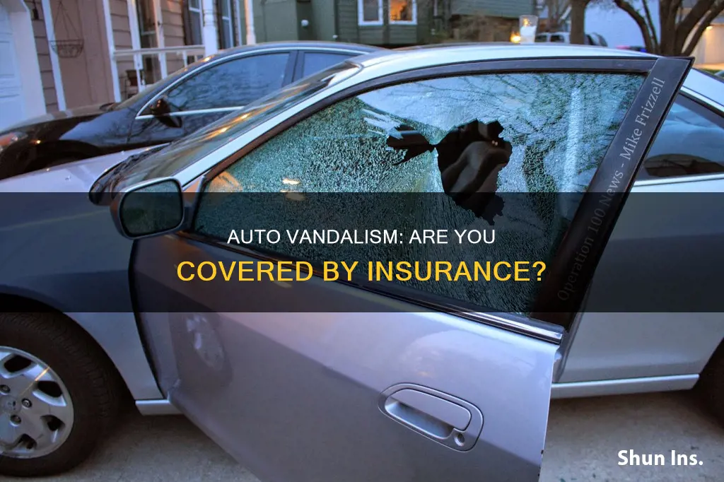 will auto insurance cover vandalism