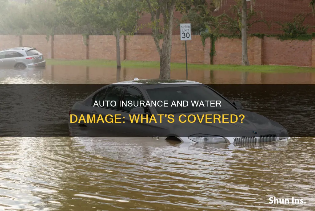 will auto insurance cover water damage