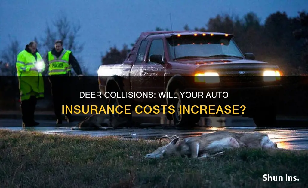 will auto insurance go up for hitting a deer