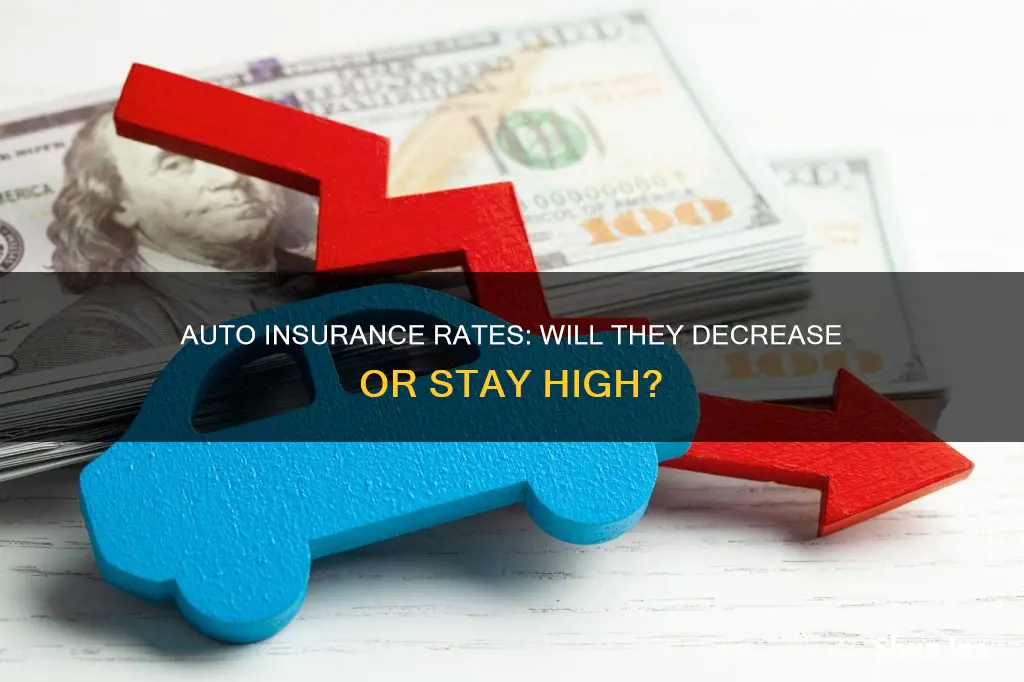 will auto insurance rates go down