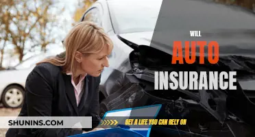 Auto Insurance: Will it Cover All My Needs?