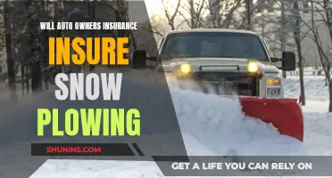 Auto Owners Insurance: Snow Plowing Coverage Explained