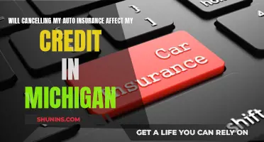 Auto Insurance Cancellation: Impact on Michigan Credit Scores