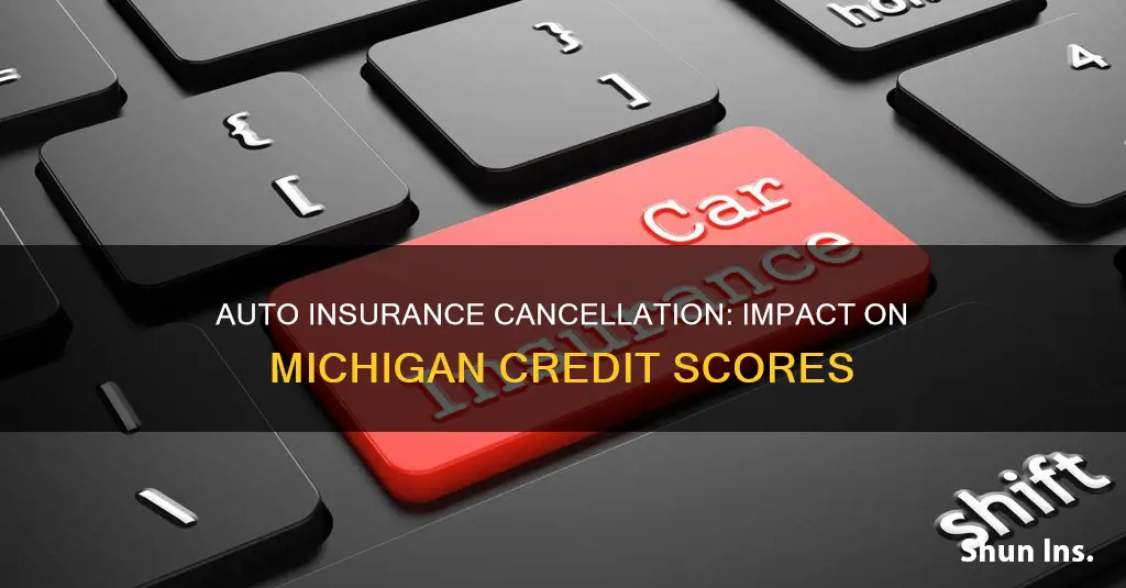 will cancelling my auto insurance affect my credit in Michigan