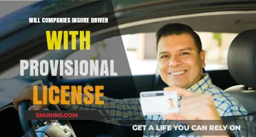 Provisional License Holders: Can You Get Insured as a New Driver?