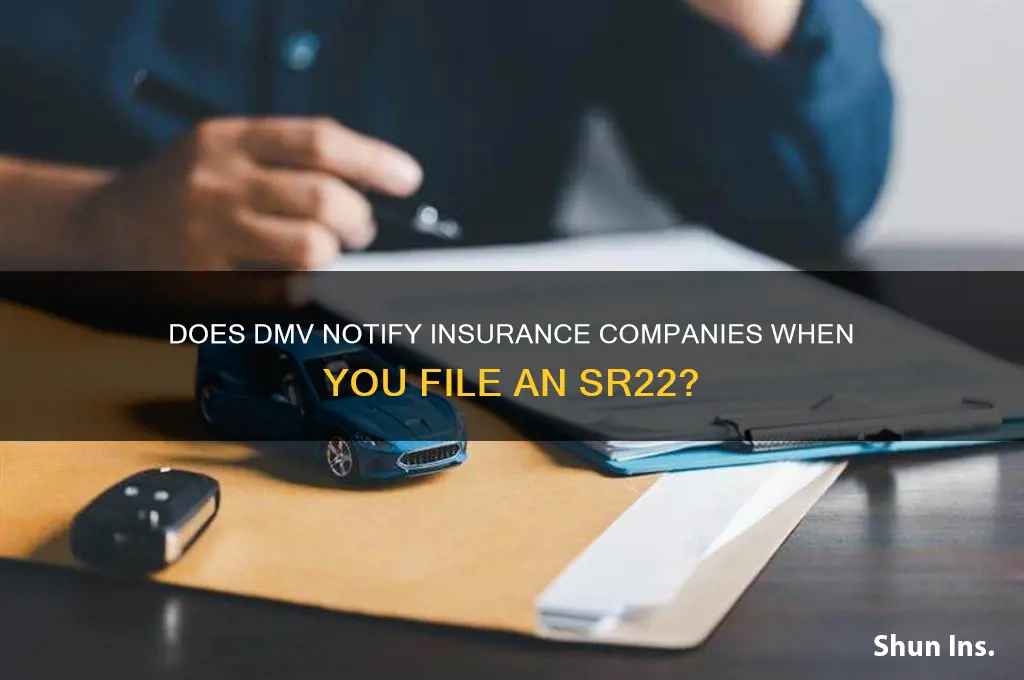 will dmv report sr22 to insurance company