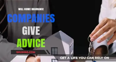Will Home Insurance Companies Offer Advice? What You Need to Know