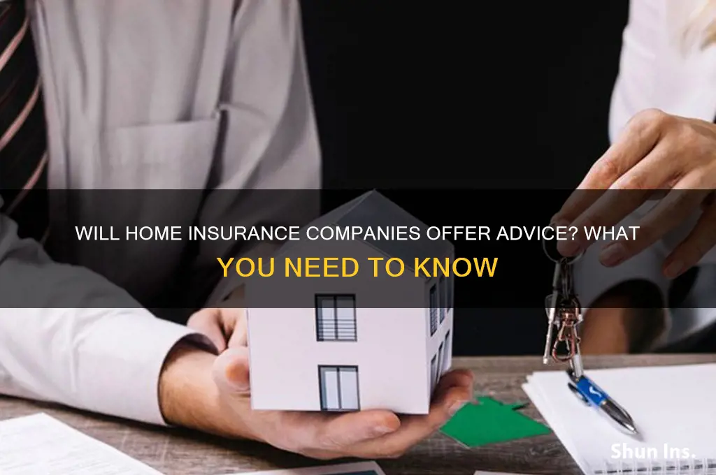 will home insurance companies give advice
