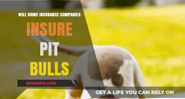Pit Bulls and Home Insurance: Coverage Options and Breed Restrictions