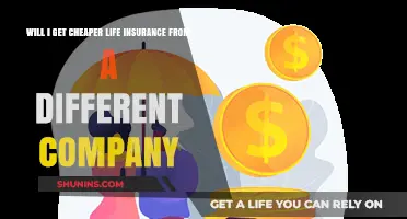 Switching Life Insurance Providers: Can You Save Money on Premiums?