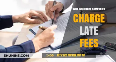 Late Payments and Insurance: Understanding Potential Fees and Penalties