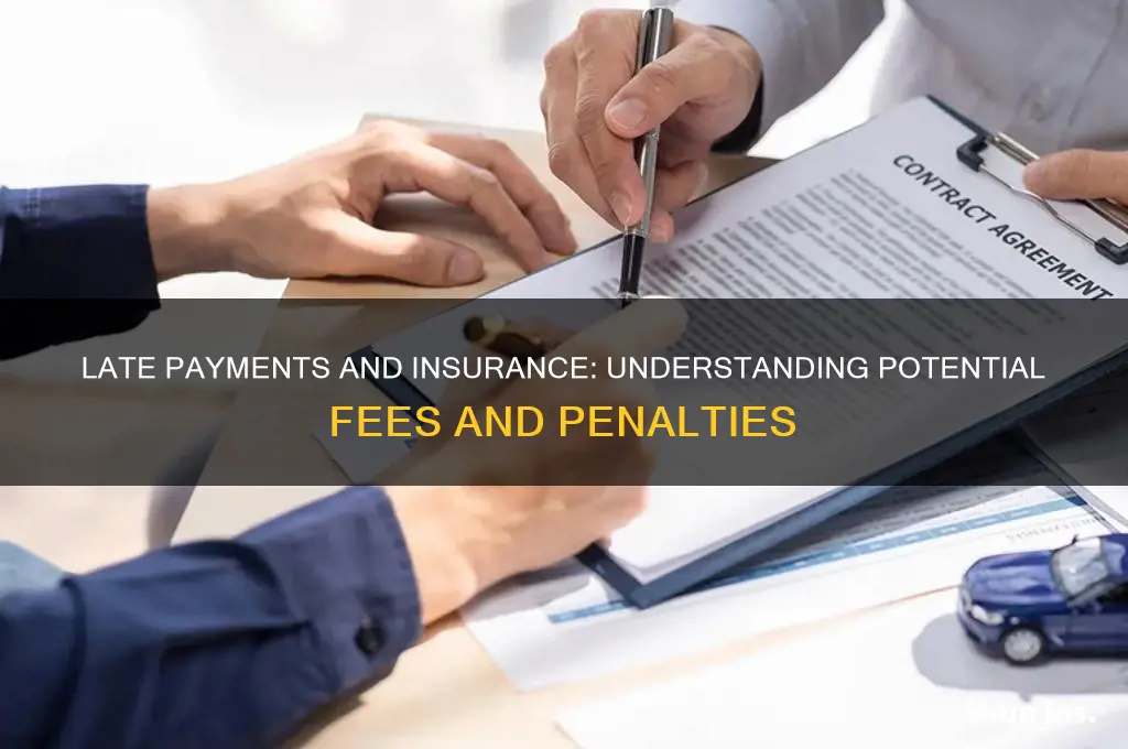 will insurance companies charge late fees