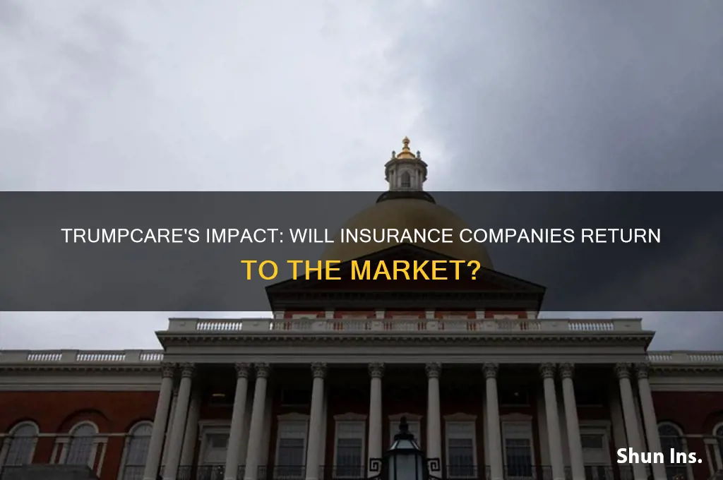 will insurance companies come back with trumpcare