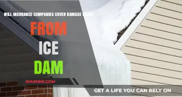 Ice Dam Damage: Will Your Insurance Cover the Costs?