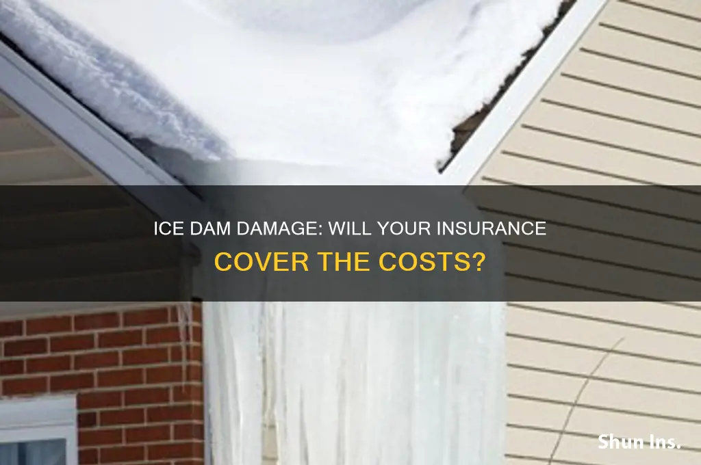 will insurance companies cover damage cause from ice dam