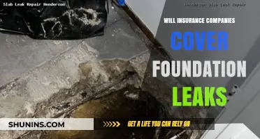 Foundation Leaks: Will Your Insurance Cover the Cost?