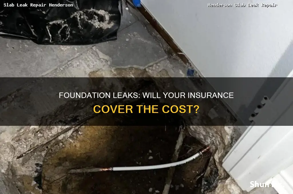 will insurance companies cover foundation leaks