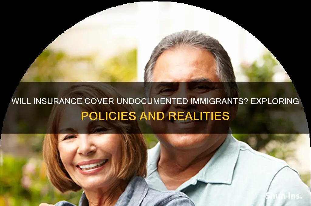will insurance companies cover illegalsr