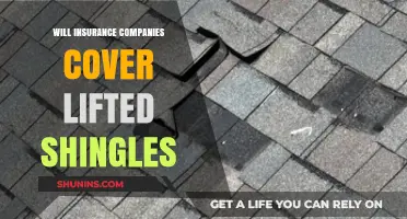 Lifted Shingles: Will Your Insurance Cover the Damage?
