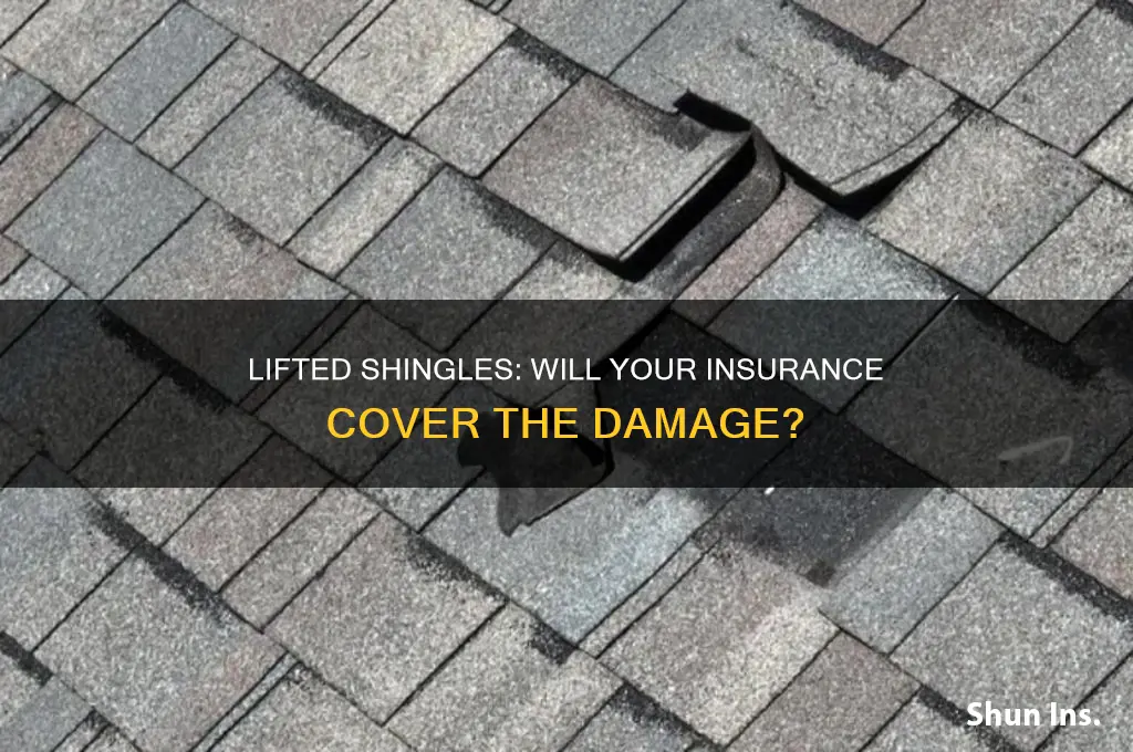 will insurance companies cover lifted shingles