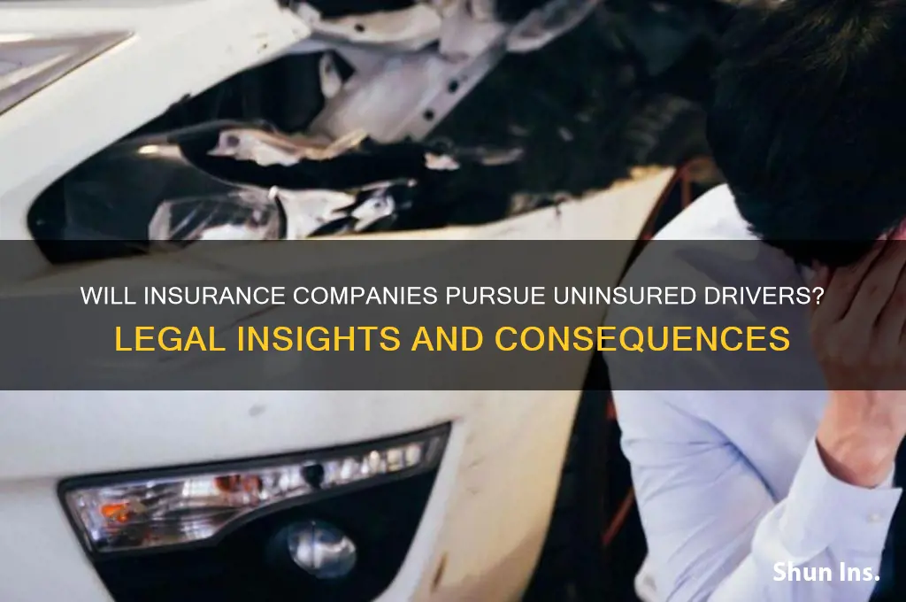 will insurance companies go after uninsured drivers