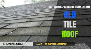 Insuring Aging Roofs: Can 35-Year-Old Tile Roofs Get Coverage?