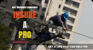 Will Insurance Companies Cover Professionals in High-Risk Occupations?