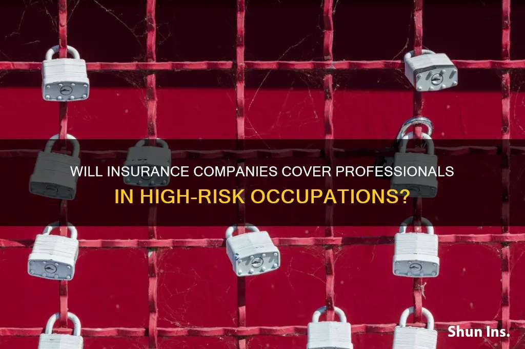 will insurance companies insure a pro