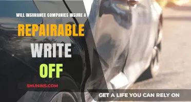 Can Repairable Write-Offs Be Insured? Exploring Insurance Company Policies
