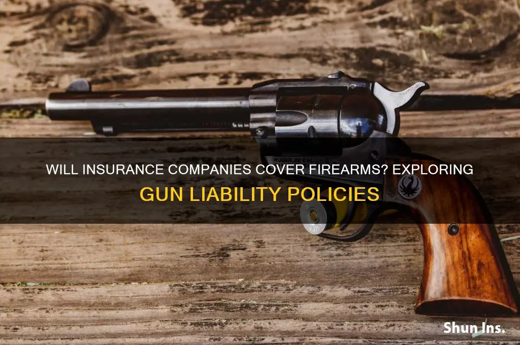 will insurance companies insure guns