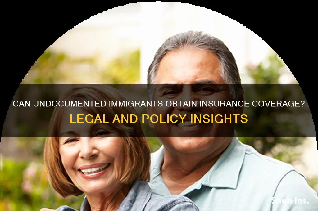 will insurance companies insure illegal citizens