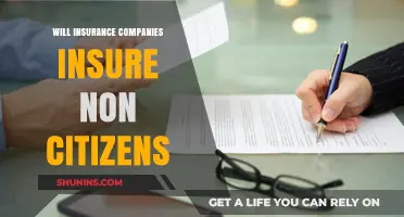 Can Non-Citizens Get Insured? Exploring Coverage Options for Immigrants