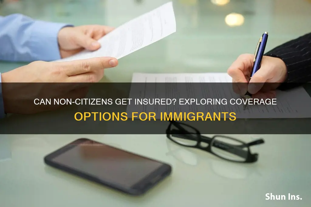 will insurance companies insure non citizens