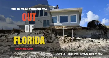 Florida's Insurance Crisis: Will Carriers Abandon the Sunshine State?