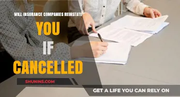 Can You Get Reinstated After Insurance Cancellation? What You Need to Know
