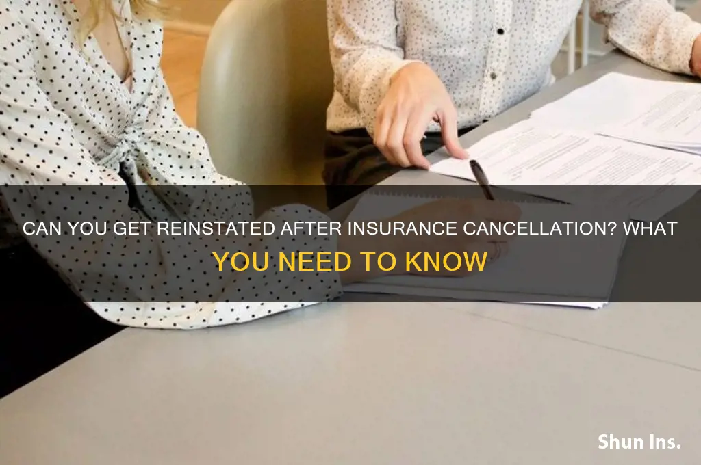 will insurance companies reinstate you if cancelled