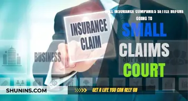 Will Insurance Companies Settle Before Small Claims Court? What to Expect
