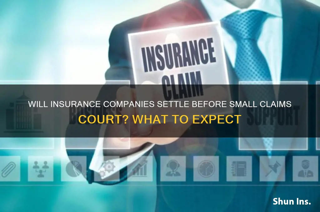 will insurance companies settle before going to small claims court