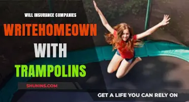 Trampolines and Homeowners Insurance: Will Companies Still Cover You?