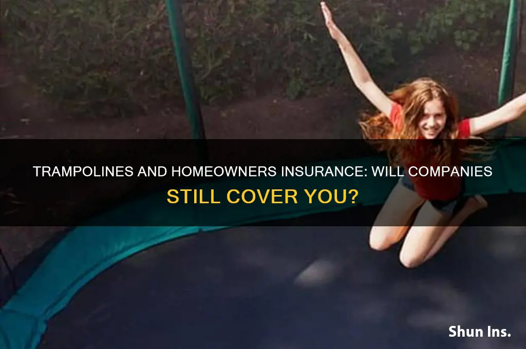 will insurance companies writehomeowners with trampolins