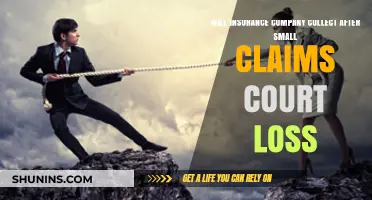 What Happens After Losing a Small Claims Court Case to Insurers?