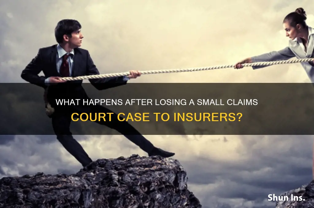will insurance company collect after small claims court loss