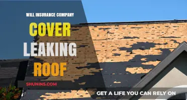 Does Homeowners Insurance Cover Roof Leaks? What You Need to Know