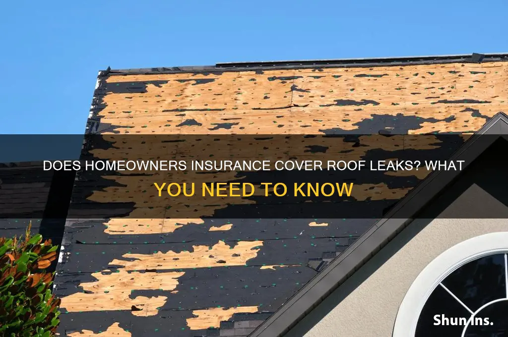 will insurance company cover leaking roof