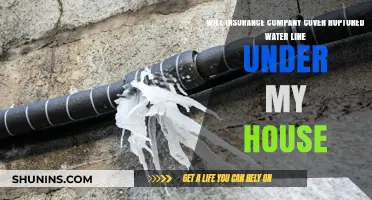 Does Homeowners Insurance Cover Ruptured Water Lines Under Your House?