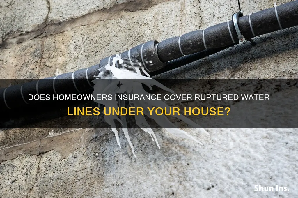 will insurance company cover ruptured water line under my house
