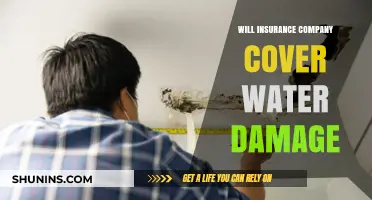 Does Your Insurance Policy Cover Water Damage? What You Need to Know