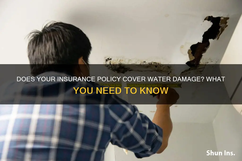 will insurance company cover water damage